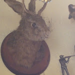 Photo n°2 de l'avis de Bodo.o fait le 28/03/2019 à 13:30 sur le  Raststätte Mühlengrill à Dachwig