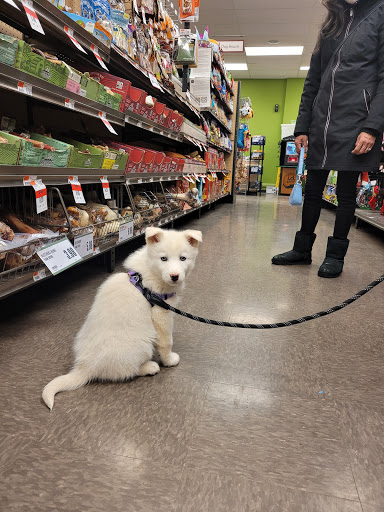 Pet Supply Store «Pet Supplies Plus», reviews and photos, 1530 S Washington St, Crawfordsville, IN 47933, USA