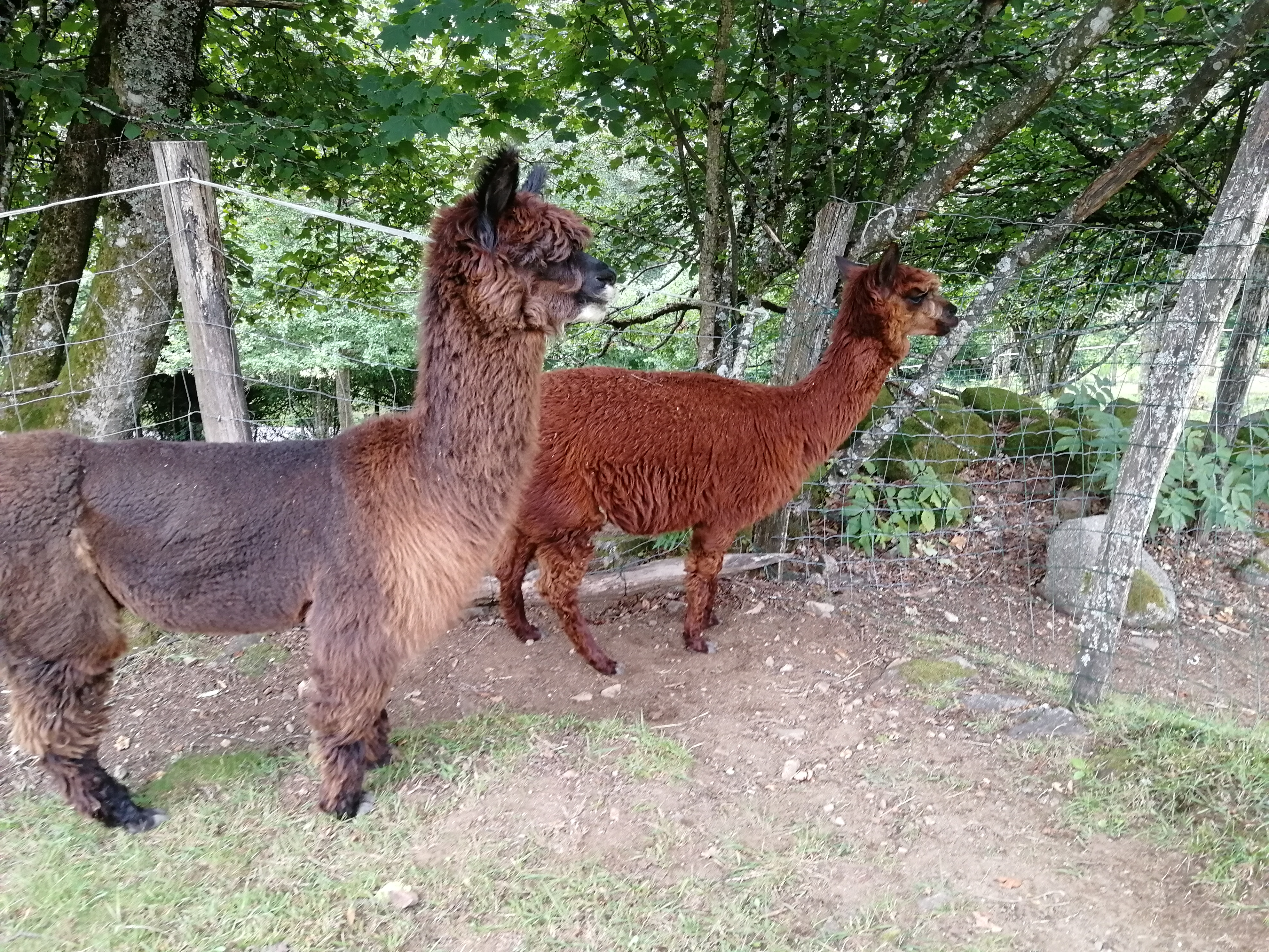 Photo n° 5 de l'avis de Nicolas.a fait le 19/08/2020 à 08:36