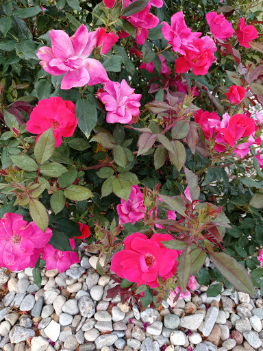 Golf Club «Indian Ridge Golf Club», reviews and photos, 2600 Oxford Millville Rd, Oxford, OH 45056, USA