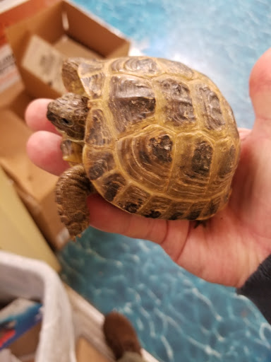 Pet Supply Store «Petco Animal Supplies», reviews and photos, 35860 Chester Rd, Avon, OH 44011, USA