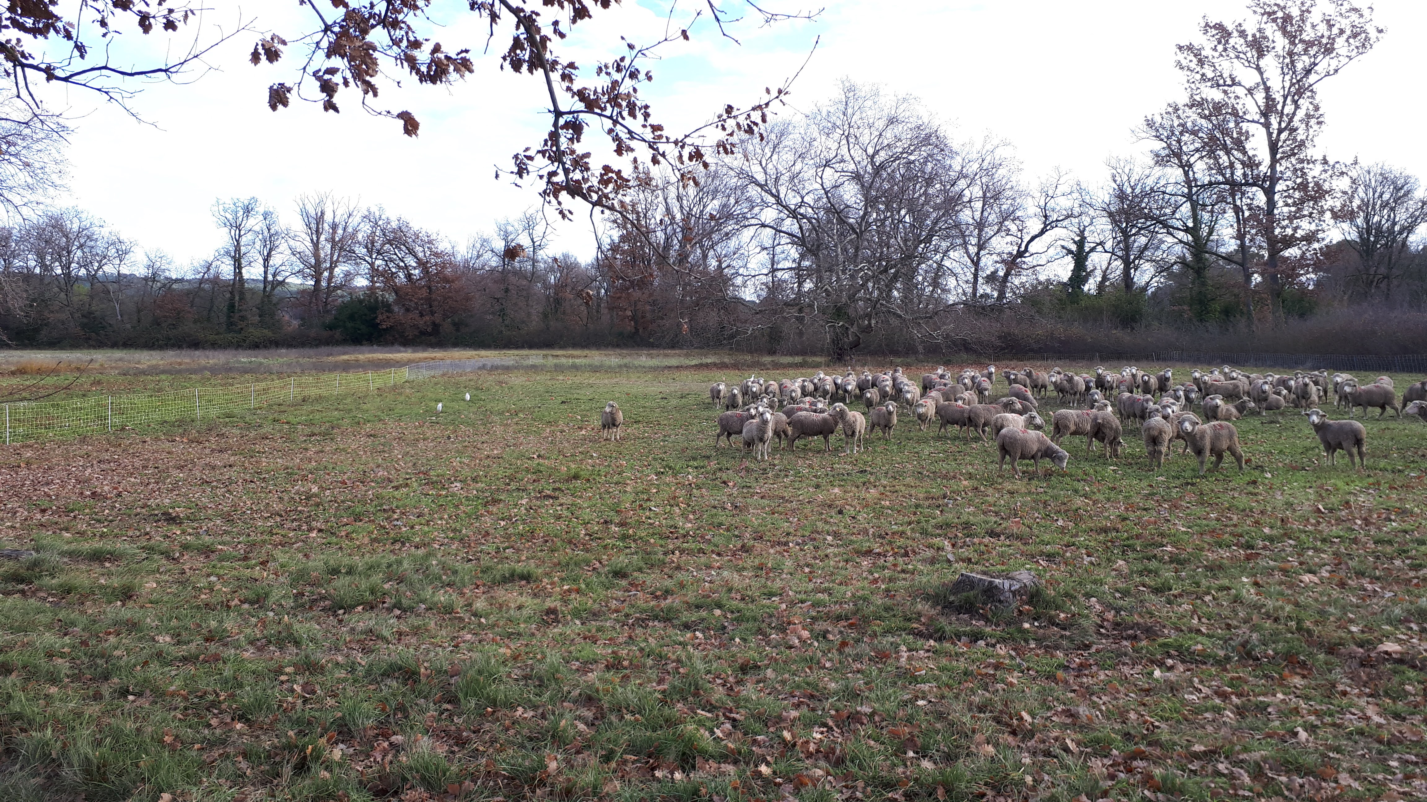 Photo n° 1 de l'avis de Yves.a fait le 24/12/2020 à 23:58
