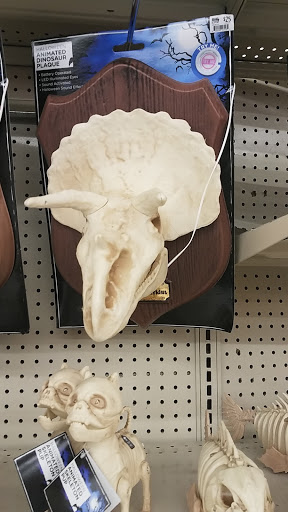 Discount Store «Big Lots», reviews and photos, 1941 Veterans Blvd, Dublin, GA 31021, USA