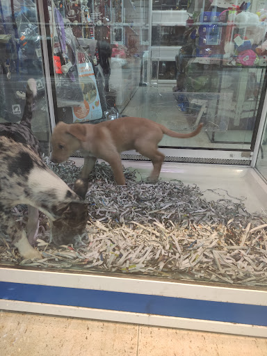 Clínica Sarriko Fauna en Bilbao