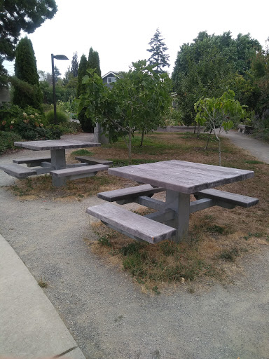 Park «Kirke Park», reviews and photos, 7028 9th Ave NW, Seattle, WA 98117, USA