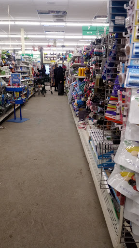 Dollar Tree image 8