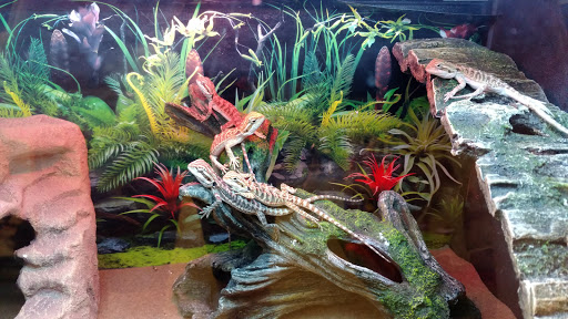 Pet Supply Store «PetSmart», reviews and photos, 1050 McKinley Pl Dr #30, San Marcos, TX 78666, USA