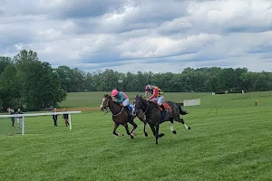 Willowdale Steeplechase image