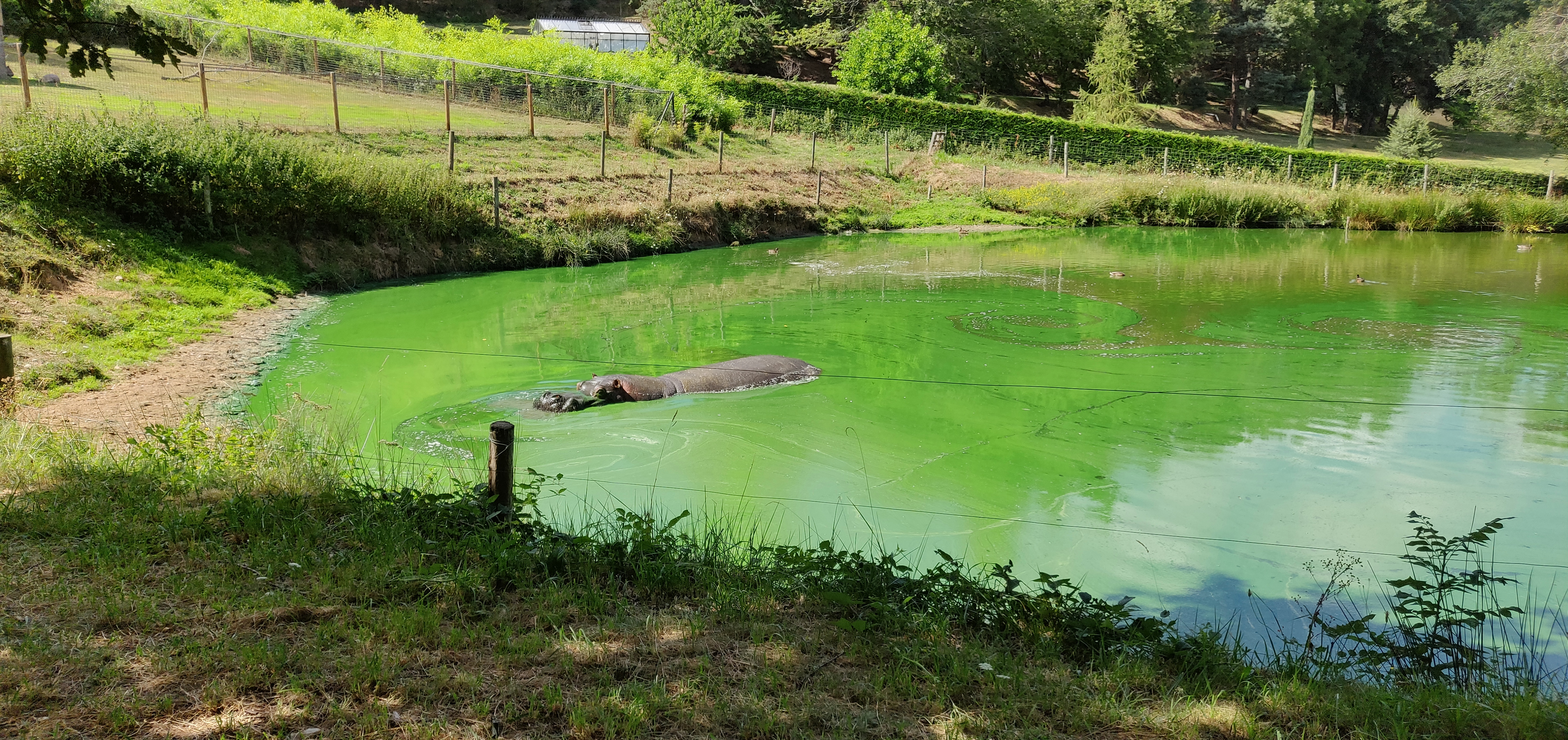 Photo n° 3 de l'avis de Rémi.A fait le 22/08/2018 à 10:43