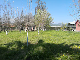 La Cabañita Del Beto