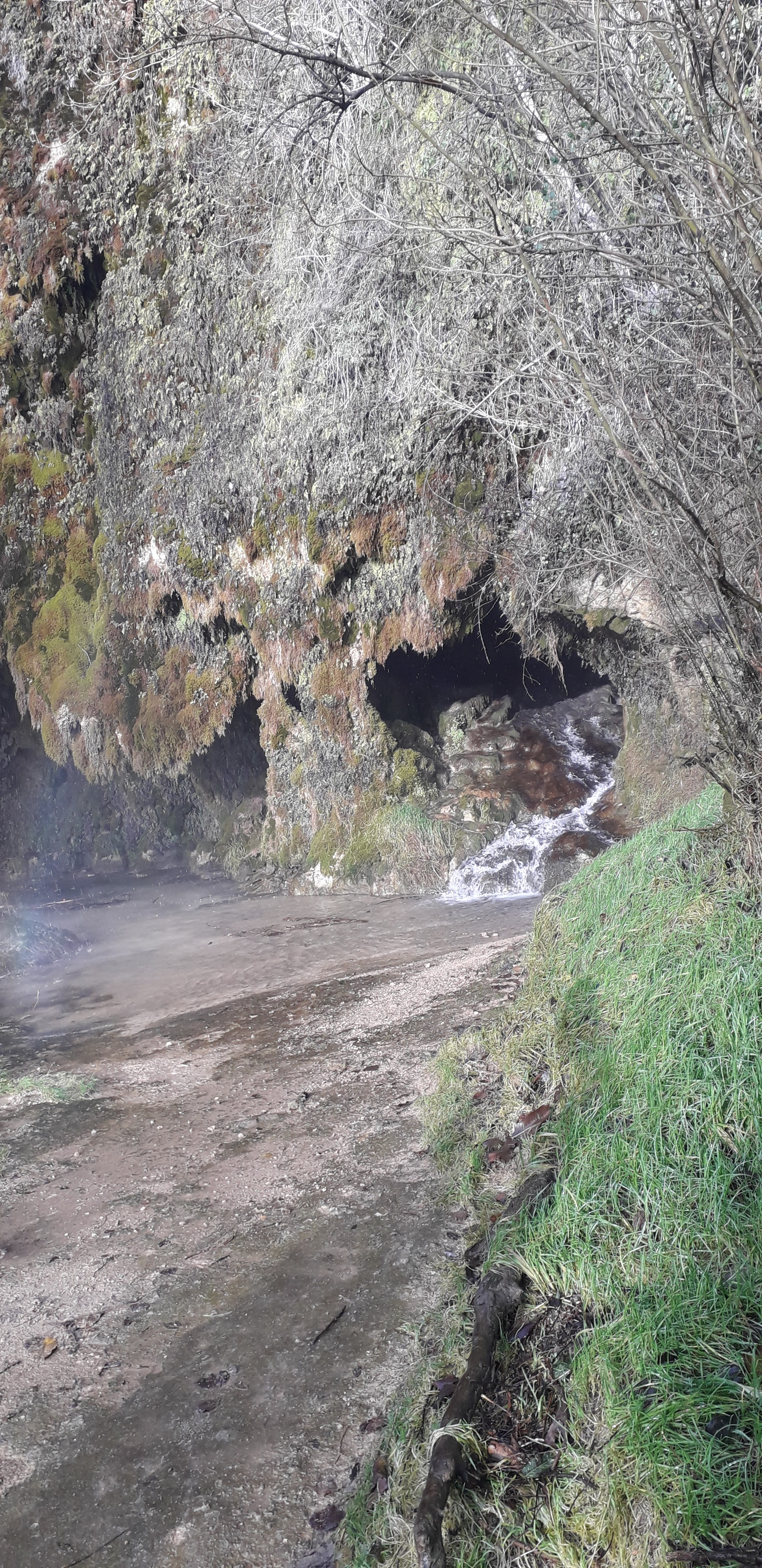 Photo n° 6 de l'avis de mathilde.a fait le 01/12/2019 à 17:08