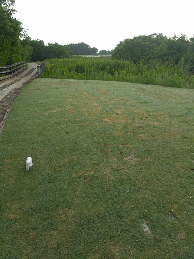 Private Golf Course «Bayou Club», reviews and photos, 7979 Bayou Club Blvd, Largo, FL 33777, USA