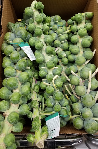 Supermarket «ALDI», reviews and photos, 2045 Mentor Ave, Painesville, OH 44077, USA