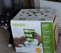 Fressnapf Dresden photo