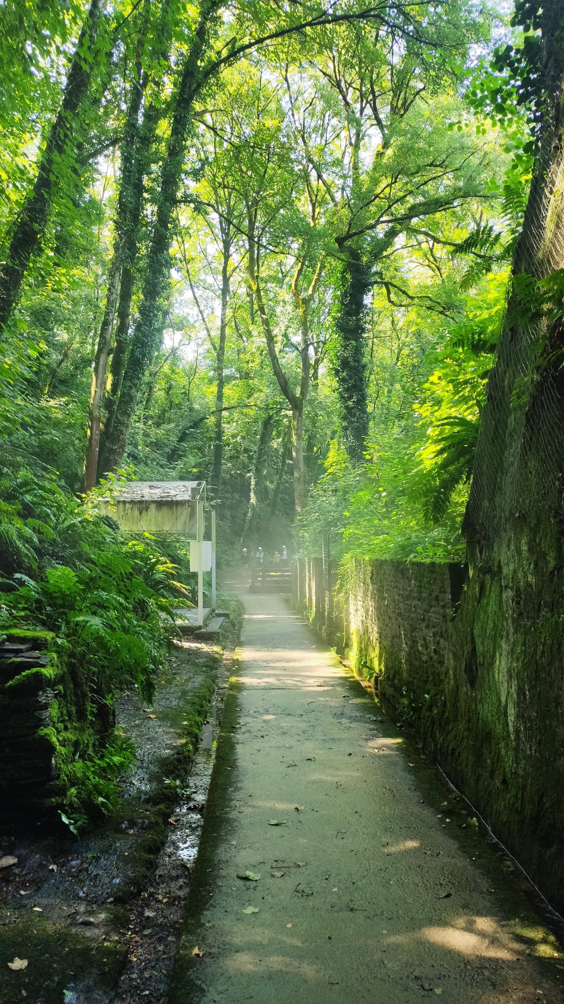 Photo n° 6 de l'avis de Noni.e fait le 26/08/2023 à 22:03