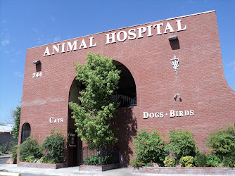 Rainbow Animal Hospital