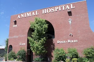 Rainbow Animal Hospital image