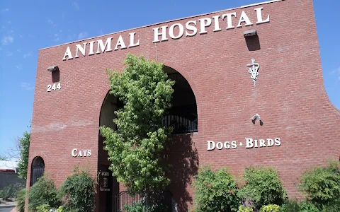 Rainbow Animal Hospital image