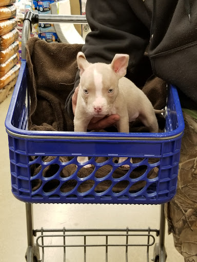 Pet Supply Store «PetSmart», reviews and photos, 8281 Troy Pike, Huber Heights, OH 45424, USA