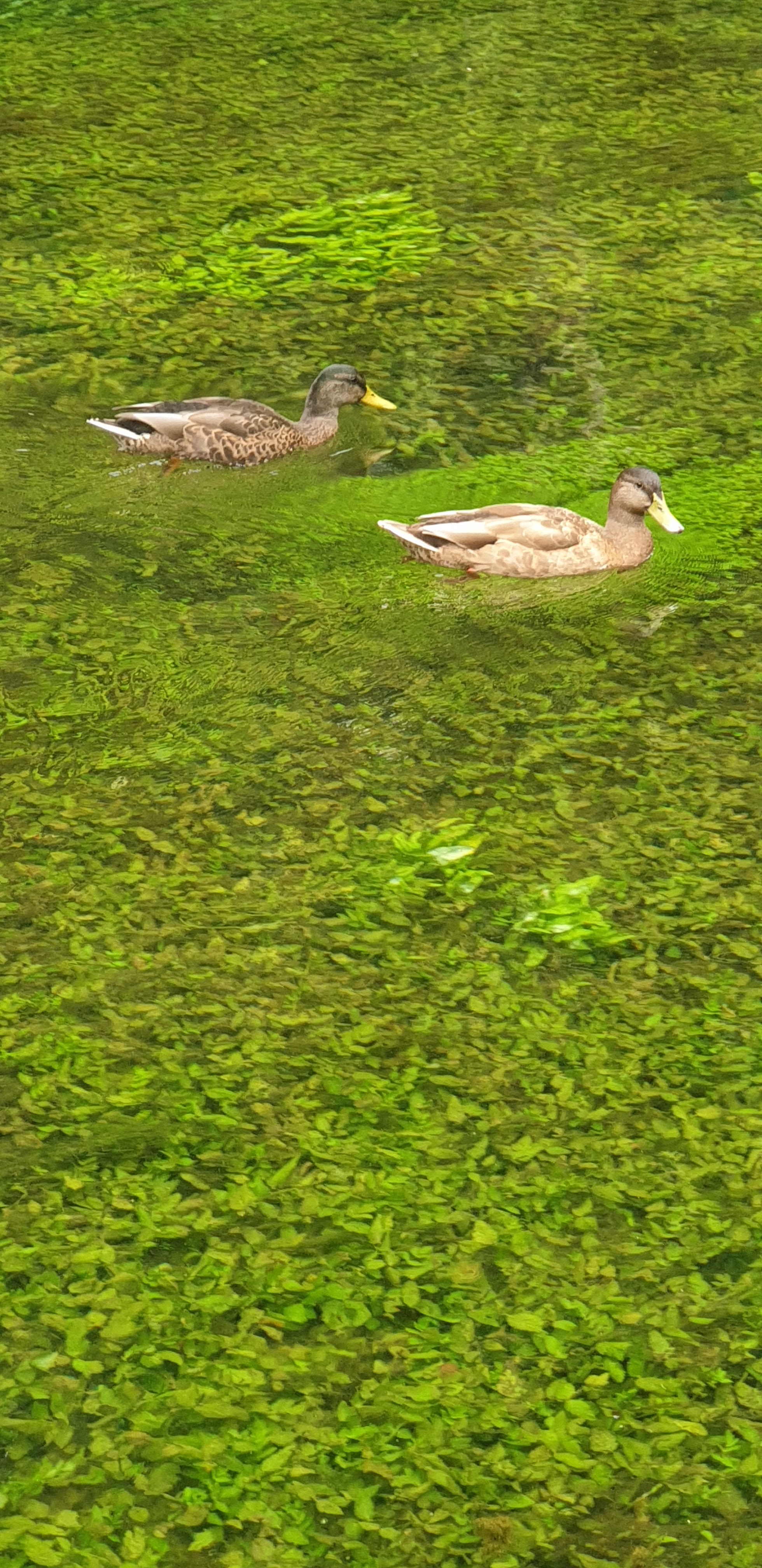 Photo n° 5 de l'avis de Ann.a fait le 04/08/2022 à 16:47