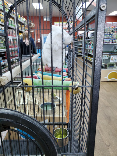 Pet Store «Petland Batavia», reviews and photos, 401 N Randall Rd, Batavia, IL 60510, USA