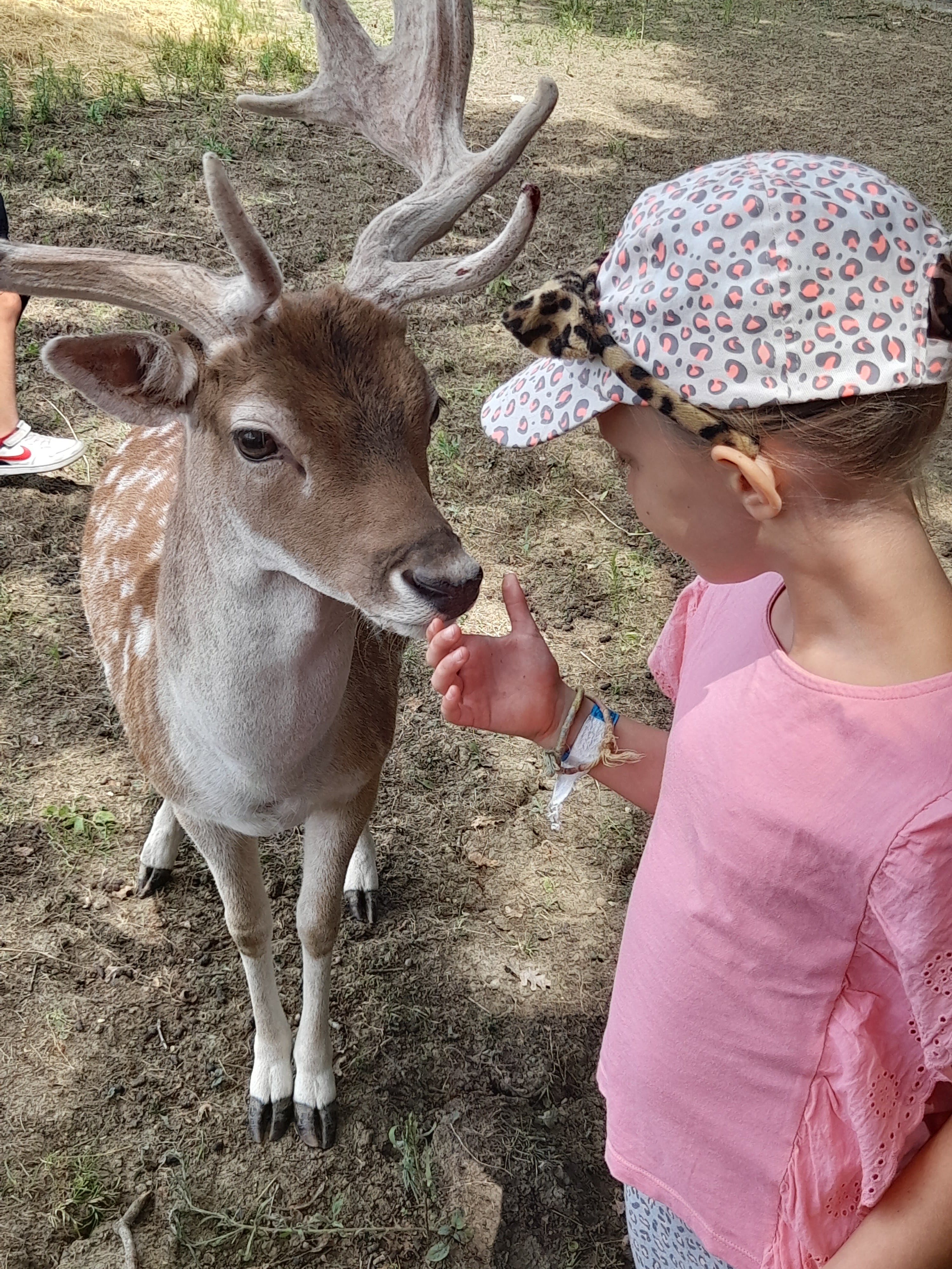 Photo n° 6 de l'avis de céléna.a fait le 02/09/2022 à 15:53
