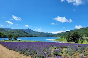 Kanayamako Forest Park image