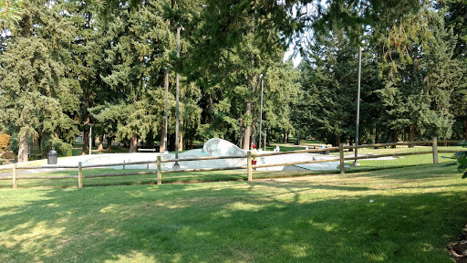 Park «Crossroads Water Spray Playground», reviews and photos, 999 165th Ave NE, Bellevue, WA 98008, USA