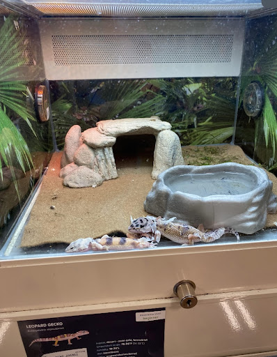 Pet Supply Store «PetSmart», reviews and photos, 976 IL-59, Aurora, IL 60504, USA