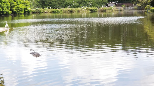 Amusement Park «Gatorland», reviews and photos, 14501 S Orange Blossom Trail, Orlando, FL 32837, USA