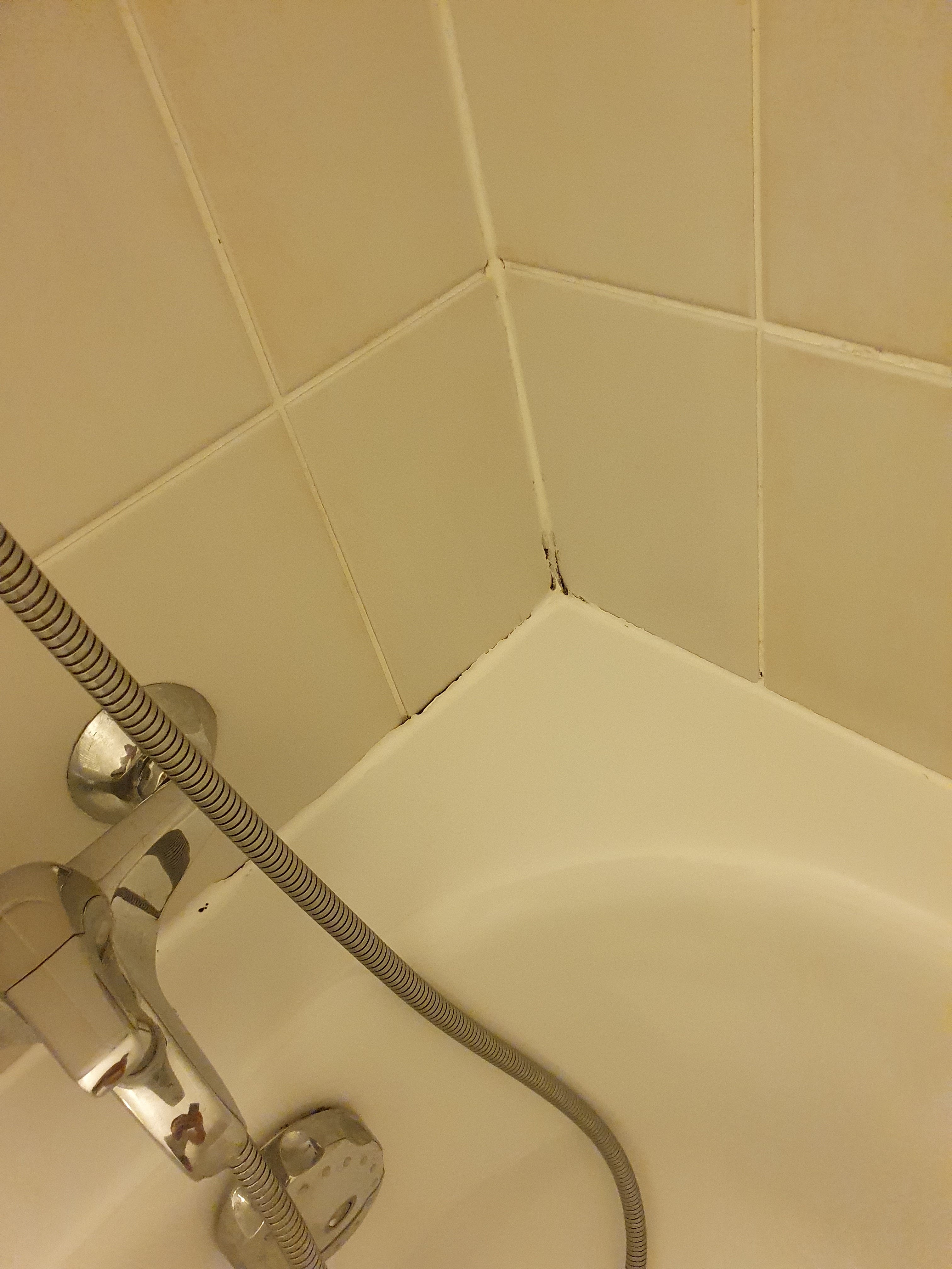 Photo n° 4 de l'avis de Sébastien.e fait le 21/10/2021 à 15:40