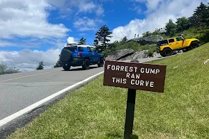 Forrest Gump Curve image