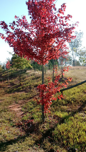 Nature Preserve «Lake Conestee Nature Park», reviews and photos, 601 Fork Shoals Rd, Greenville, SC 29605, USA