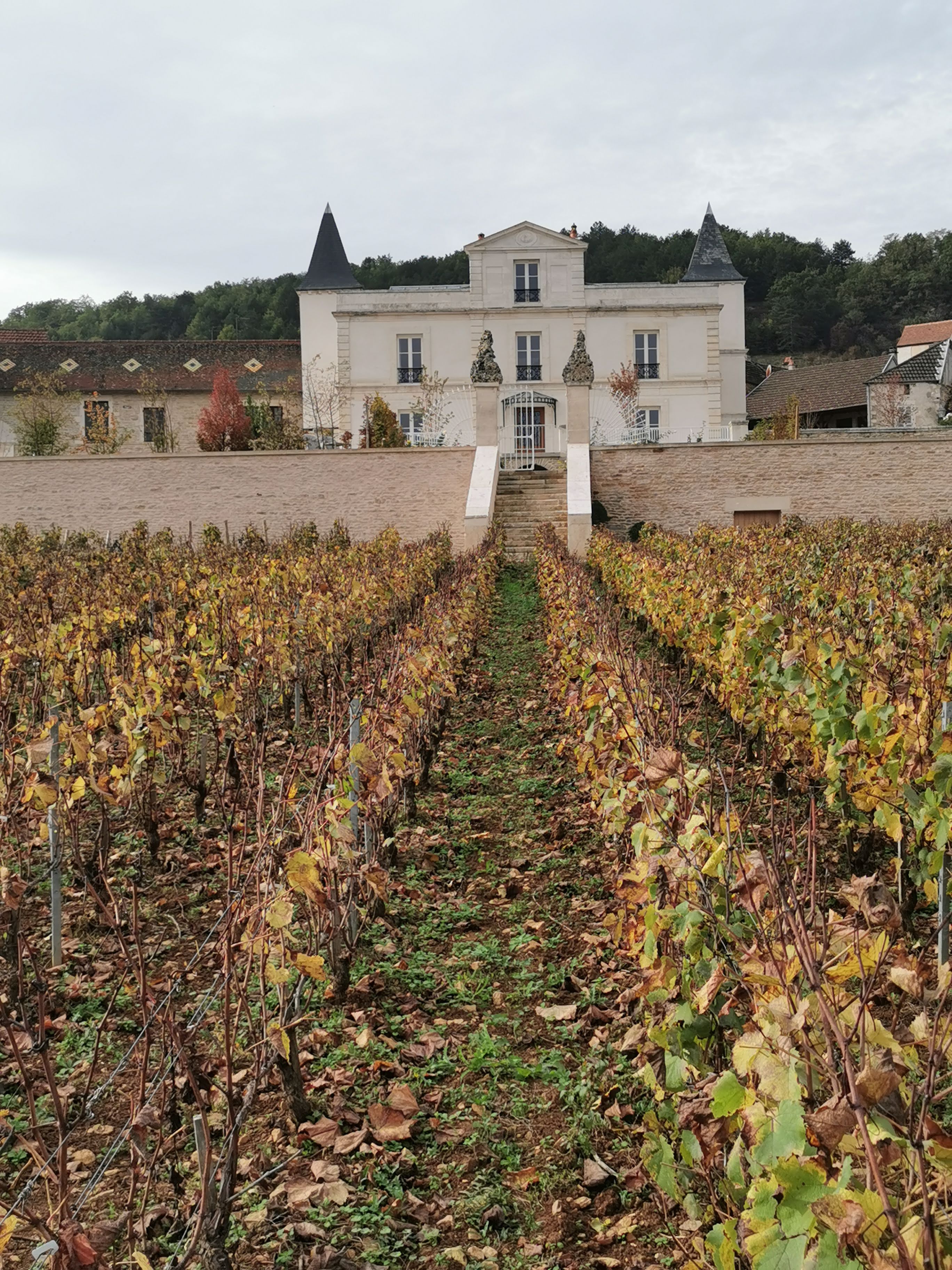 Photo n° 1 de l'avis de René.� fait le 20/10/2022 à 20:35