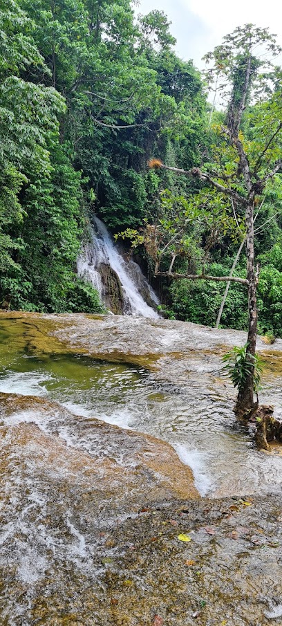 Kichan Bajlum - Agencia de viajes en Palenque, Chiapas, México