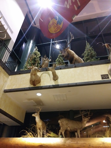 Shopping Mall «Cincinnati Mall», reviews and photos, 600 Cincinnati Mills Dr, Cincinnati, OH 45240, USA