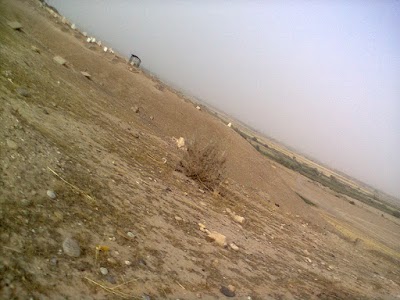 Photos of مقبرة شهداء البوجواري