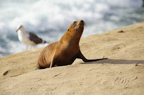 Law Office of Attorney David Nelson - Photo 3 - Car repair in Murrieta, CA, Murrieta