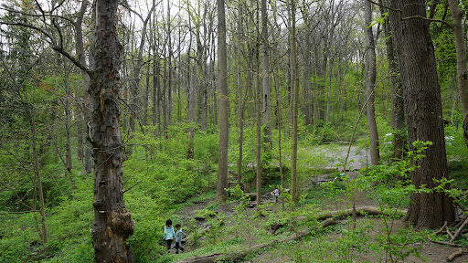 Nature Preserve «Wissahickon Environmental Center», reviews and photos, 300 W Northwestern Ave, Philadelphia, PA 19118, USA