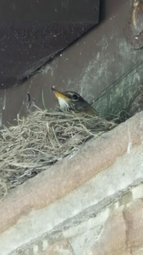 Memorial Park «Veterans Memorial Park», reviews and photos, 7619 Memphis Ave, Brooklyn, OH 44144, USA