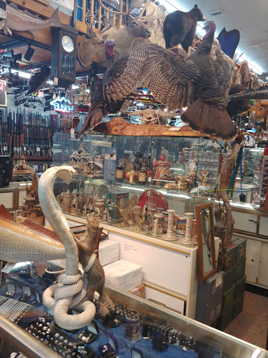 Gun Shop «AAA Gun & Pawn Shop», reviews and photos, 1849 S Woodland Blvd, DeLand, FL 32720, USA