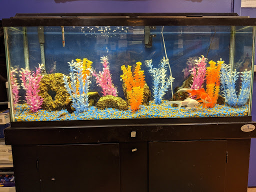 Pet Supply Store «Aquarius Aquariums», reviews and photos, 214 Riverside Dr #511, New York, NY 10025, USA