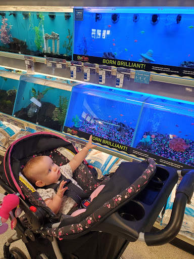 Pet Supply Store «PetSmart», reviews and photos, 1450 Spring Meadows Dr, Holland, OH 43528, USA