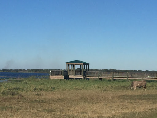 Recreation «Kissimmee Swamp Tours», reviews and photos, 4500 Joe Overstreet Rd, Kenansville, FL 34739, USA