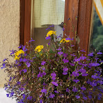 Photo n°5 de l'avis de Settimio.i fait le 09/08/2019 à 15:07 sur le  LA MIANDO dal 1989 Home Restaurant e Pernottamento à Salza di Pinerolo