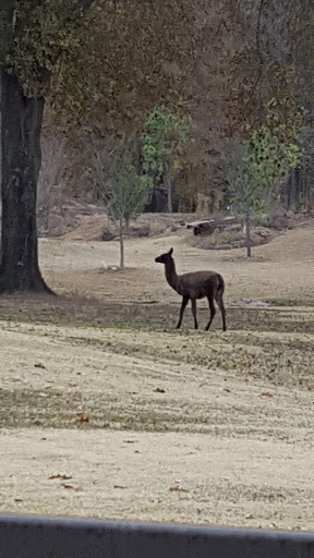 Golf Course «Mirimichi Golf Course», reviews and photos, 6195 Woodstock Cuba Rd, Millington, TN 38053, USA