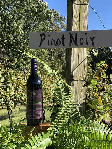 Winery «Sharp Mountain Vineyards», reviews and photos, 110 Rathgeb Trail, Jasper, GA 30143, USA