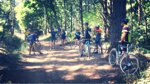 Bicycle Store «Huckleberry Bicycles ~ Berkeley», reviews and photos, 2424 Telegraph Ave, Berkeley, CA 94704, USA