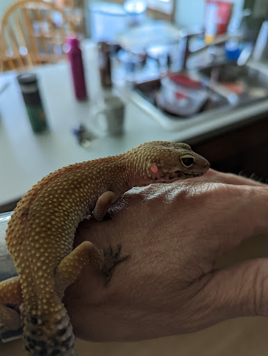 Pet Supply Store «Pet Supplies Plus», reviews and photos, 1800 County Rd 42 W, Burnsville, MN 55337, USA