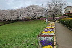 Kanigasawa Park image